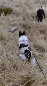 Ulv_Tornby_Hule_FlaskePosten_2