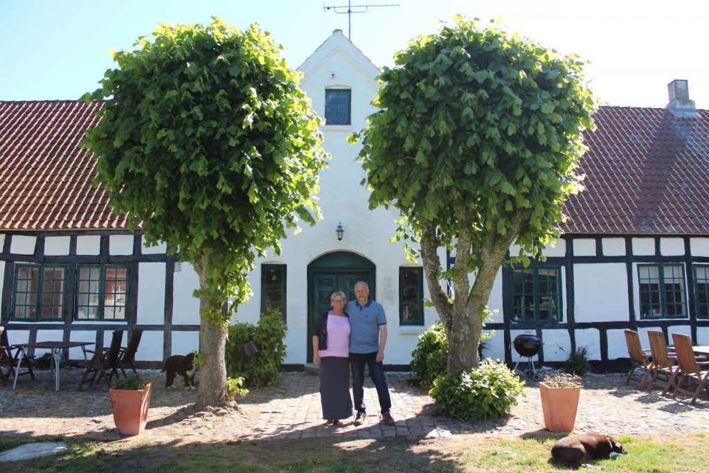 Dørjern: En omfattende guide til valg og vedligeholdelse () Dørjern: En omfattende guide til valg og vedligeholdelse