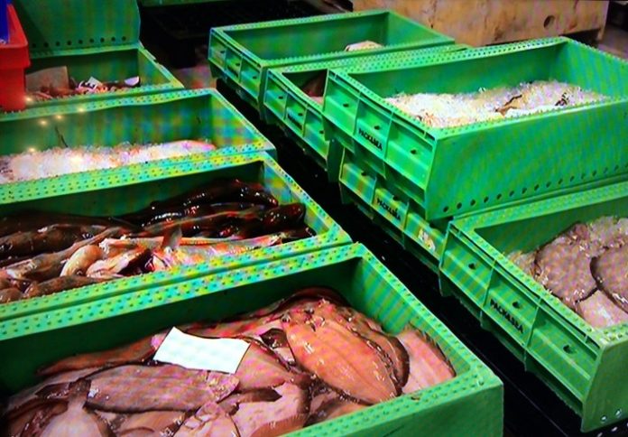 Turistfiskeauktion_FlaskePosten_1