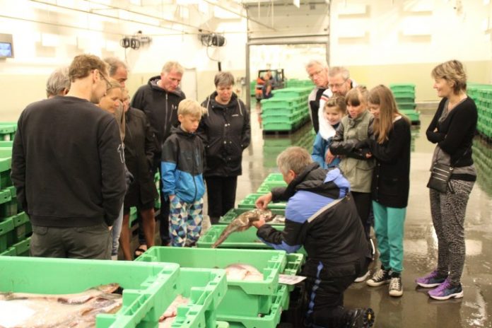 Fiskeauktion_Havnerundvisning_FlaskePosten_2