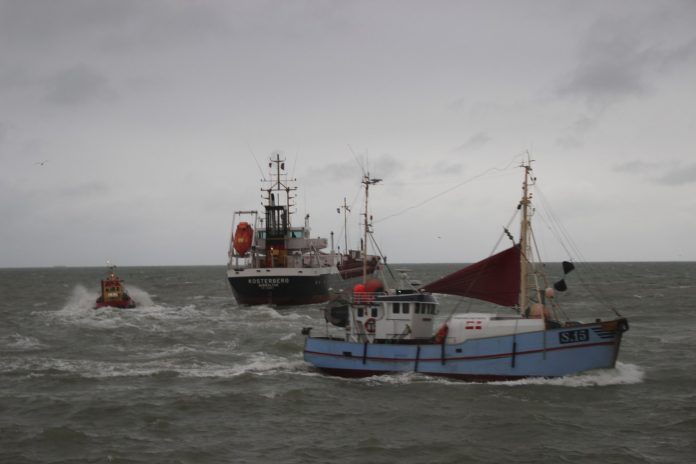 Fusk_Forskning_Fiskeri_FlaskePosten_1