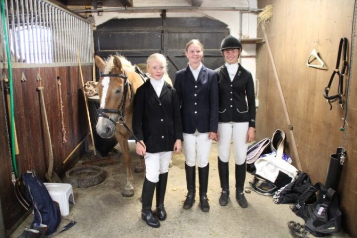 DM_Haflinger_Søndag_FlaskePosten_2