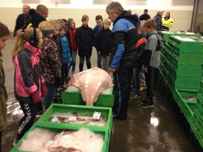 Fiskeauktion_Fiskernes_Samlecentral_Horne_Skole_FlaskePosten_2