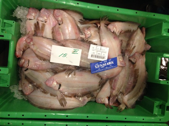 Fiskeauktion_Fiskernes_Samlecentral_Horne_Skole_FlaskePosten_7