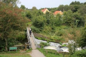 Fisketrappen_Bindslev_Fjernelse_FlaskePosten_1