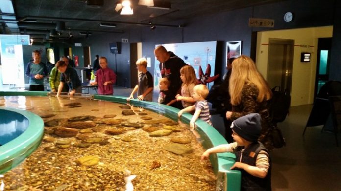 oceanarium_flaskeposten2