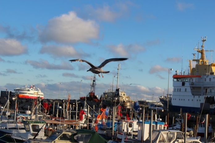 Kystnært_Fiskeri_FlaskePosten_1