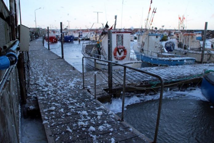 Storm_Skumsprøjt_FlaskePosten_6