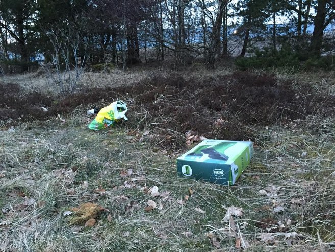 Skovsvin_Kjul_Klitplantage_FlaskePosten_1