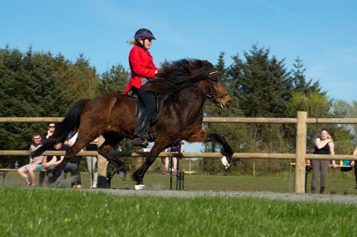Gæðingakeppni_Stævne_FlaskePosten_3_740x492