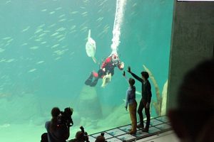 AlexandraProtektor_Åbning_Nordsøen_Oceanarium_FlaskePosten_9