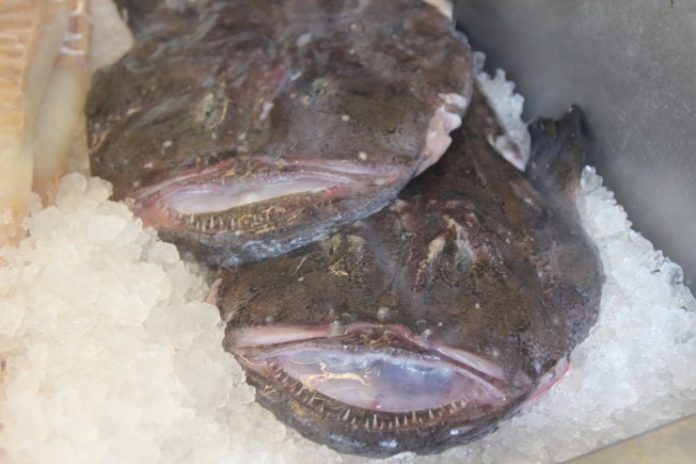 Cafe_Fisk_Stjerneskud_Pinsesøndag_FlaskePosten_7