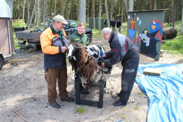 Familiekomsammen_Klipning_Geder_FlaskePosten_3