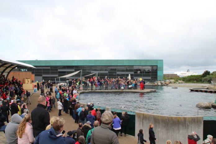 Frønse_Fødselsdag_Spar_Nord_Nordsøen_Oceanarium_FlaskePosten_10
