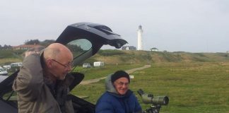 Engageret lokal ornitologi i Hirtshals
