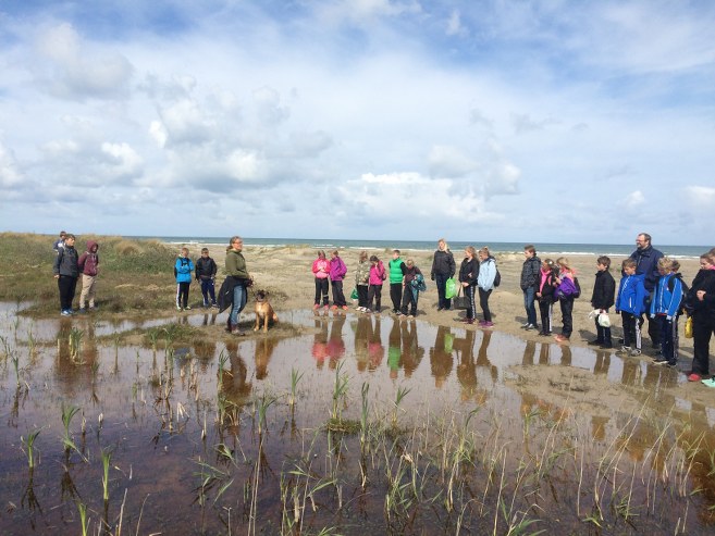 Mellemtrinnet_Bindslev_NT_ Tversted_Strand_FlskePosten_3