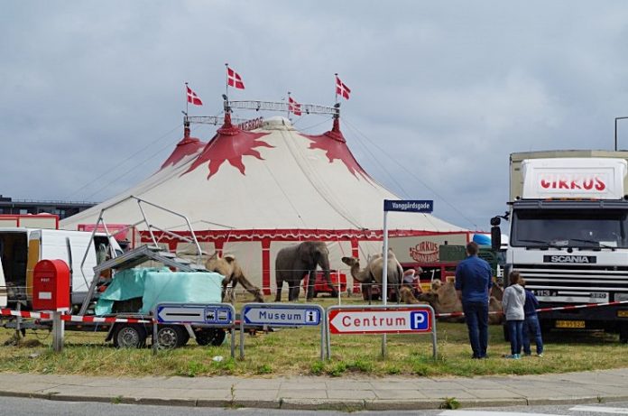 Cirkus_Dannebrog_Foromtale_FlaskePosten_1Cirkus_Dannebrog_Foromtale_FlaskePosten_7