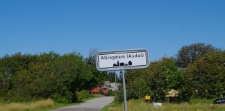 Sommerfest i Asdal som opvarmning til Gardenparty Tornby