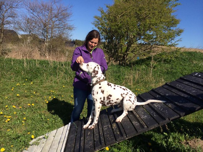 Hundetræning_Center_For_Dyreterapi_Hirtshals_FlaskePosten_1_657x493