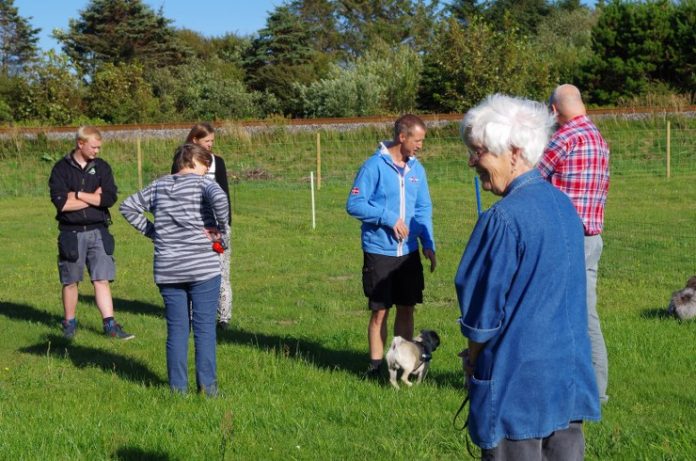 Hvalpe_Legestue_Hirtshals_Katte_Hundepension_FlaskePosten_5