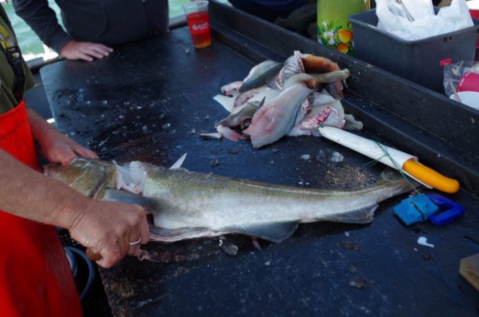 Fio_Fisketur_FlaskePosten_20