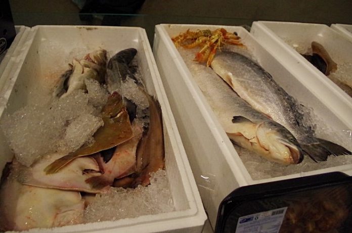 Fiskens_Dag_2015_AFholdt_FlaskePosten_4