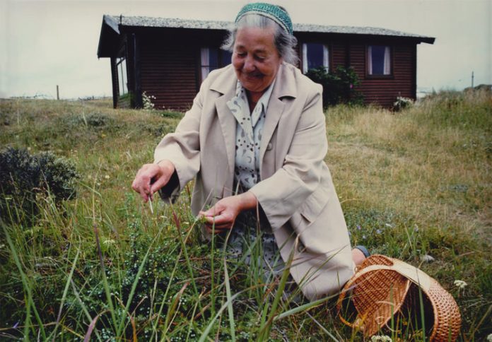 Signe_Bjesken_Film_Hirtshals_Museum_FlasekePosten_1