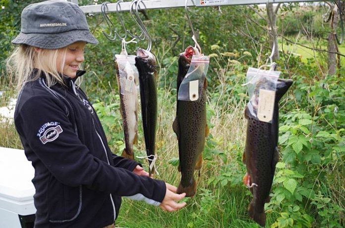 Uggerby_ÅCup_2015_Lørdag_FlaskePosten_2
