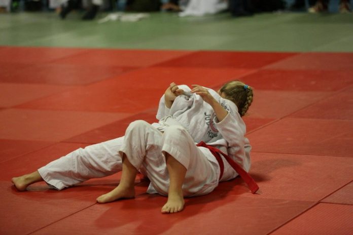 Judo_DM_FlaskePosten_4_739x493