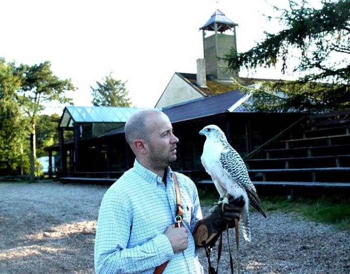 Falkoner_Ny_Ørnereservatet_FlaskePosten_1