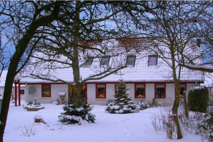 Juletræer_Østergaard_Brok_FlaskePosten_1