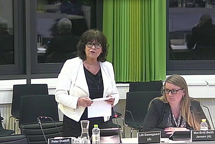 Lilli_Damsgaard_Byrådet_FlaskePosten_1_738x493
