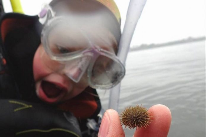 Natur_Små_FlaskePosten_1_739x493
