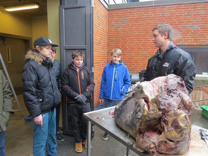 Hvalhoved_Hirtshals_Skole_FlaskePosten_2