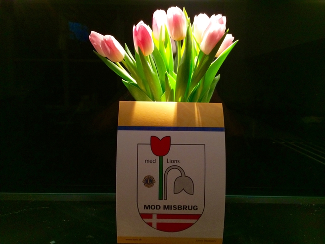 Tulipaner_Lions_FlaskePosten_1