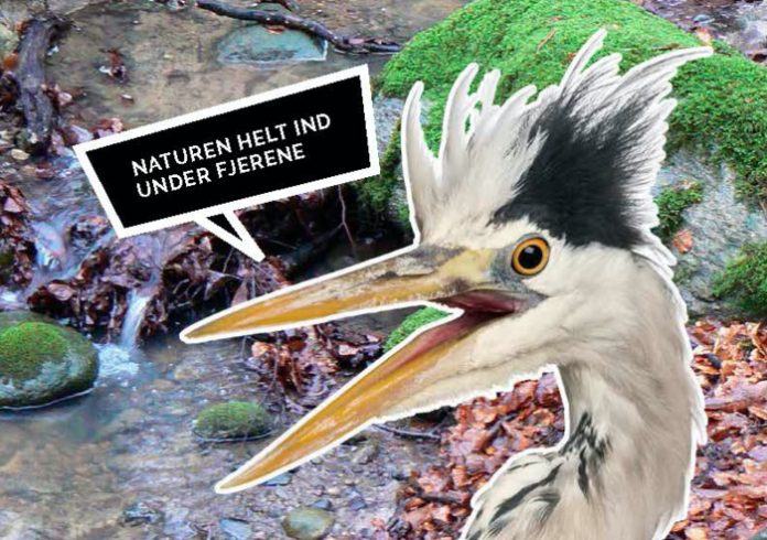 Politik_Natur_FlaskePosten_1