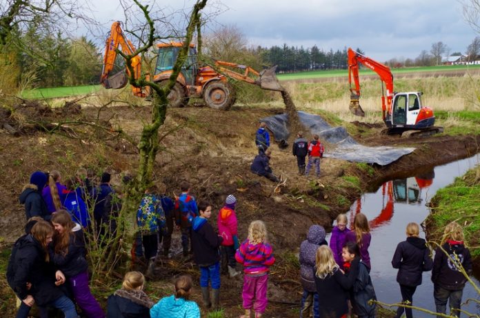 Tannisbugt_Natur_Vandpleje_Bindslev_FlaskePosten_15