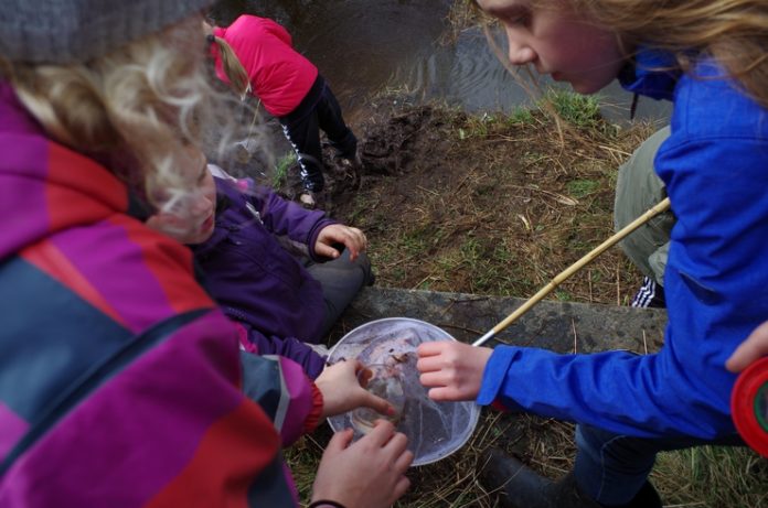 Tannisbugt_Naturpleje_Bindslev_Skole_FlaskePosten_2