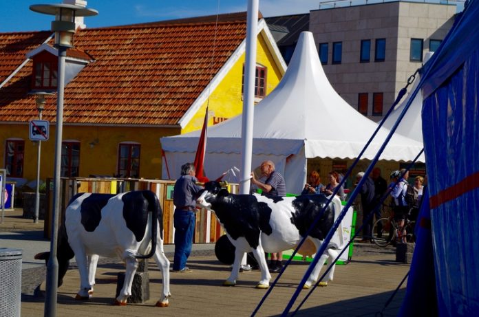 Natur_Hirtshals_Dag1_FlaskePosten_12