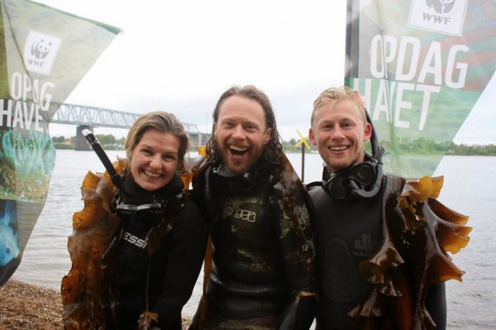 WWF_Husmoderstranden_Snorkling_FlaskePosten_1_739x493