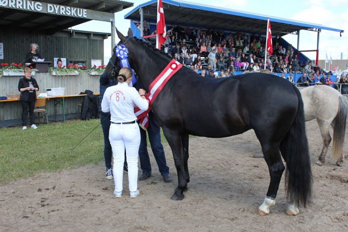 Dyrskue_FlaskePosten_1