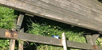 Hærværk på Det Grønnne Hjørne i Horne