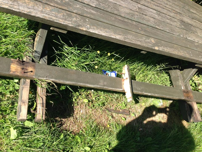 Hærværk_Grønne_Hjørne_Horne_FlaskePosaten_1