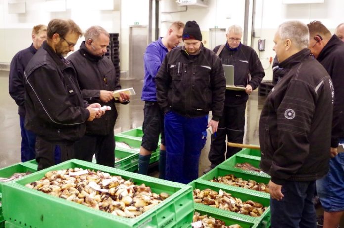 Møllers_Fiskeeksport_Restaurant_Tannishus_FlaskePosten_2