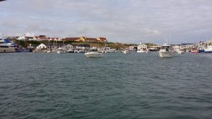 NJSK_2017_FlaskePosten_1