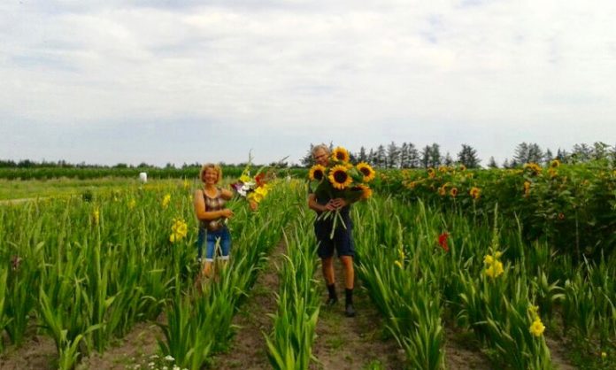 Blomster_Graverens_FlaskePosten_1