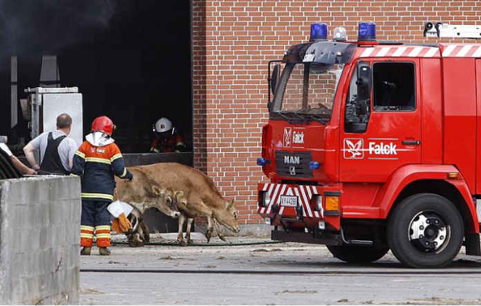 Brand_Mygdal_FlaskePosten_1