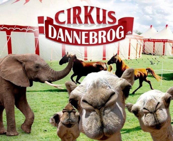 Cirkus_Zoo_Dannebrog_FlaskePosten_1