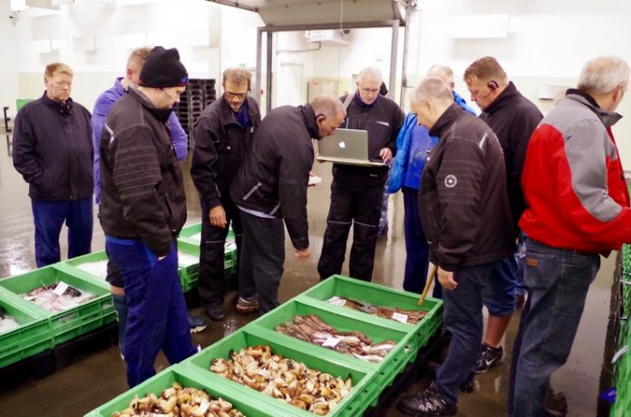Hirtshals_Fiskeauktion_FlaskePosten_1
