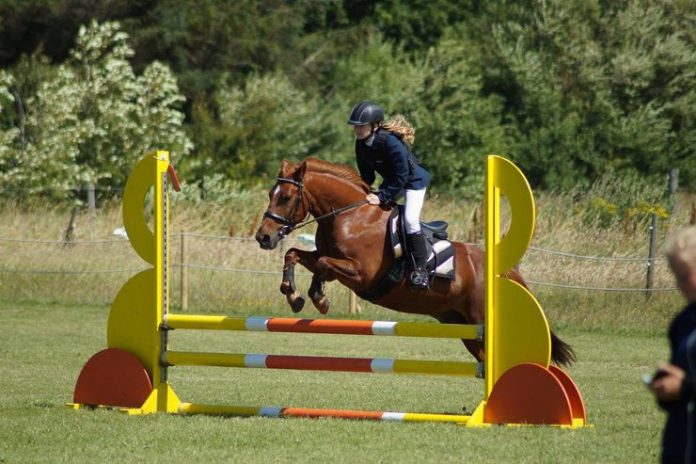 Hirtshals_Rideklub_Staevne_Juli_2016_FlaskePosten_2_740x493